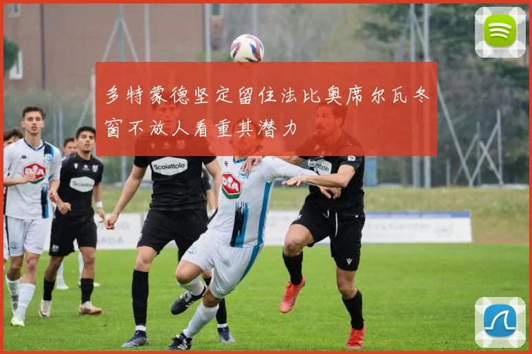 多特蒙德坚定留住法比奥席尔瓦冬窗不放人看重其潜力