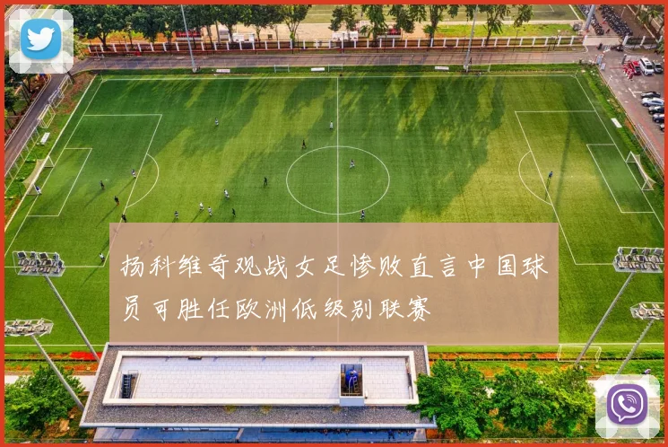 扬科维奇观战女足惨败直言中国球员可胜任欧洲低级别联赛
