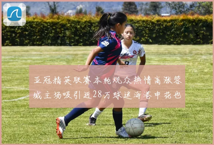 亚冠精英联赛本轮观众热情高涨蓉城主场吸引近28万球迷海港申花也超万人到场