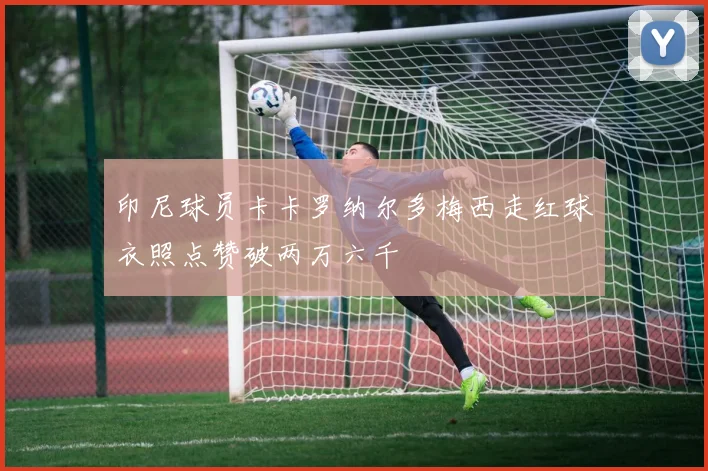 印尼球员卡卡罗纳尔多梅西走红球衣照点赞破两万六千
